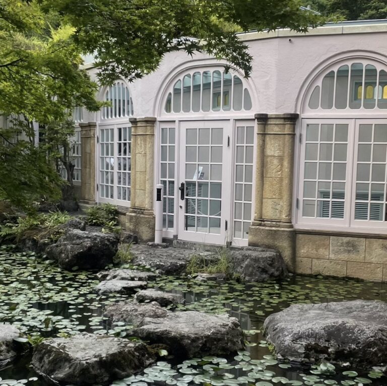 地中で出会う、静かな睡蓮