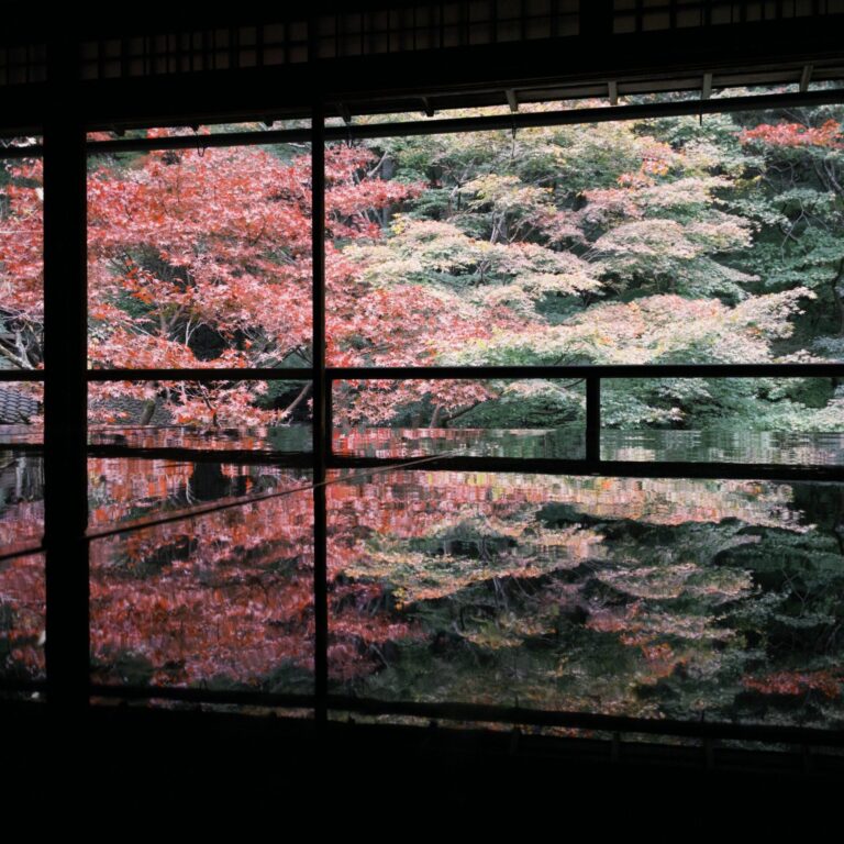 机に浮かぶ季節の彩り
