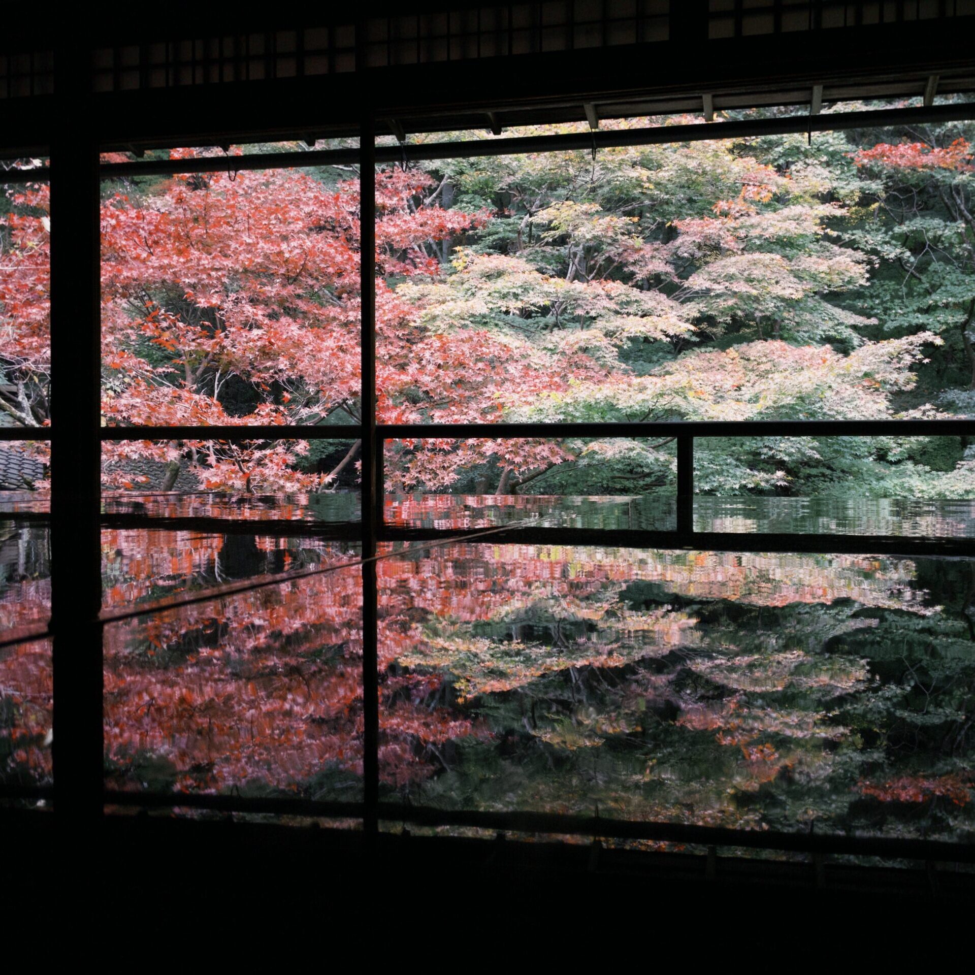 机に浮かぶ季節の彩り