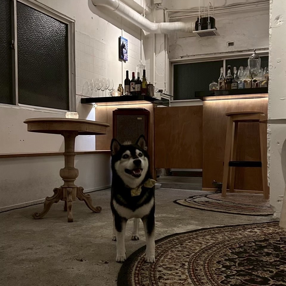 つい長居してしまう、黒柴のいる空間 